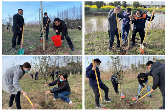 交通产业k8凯发如皋港板块召开“春风又绿江岸，绿色开展同行”主题党日活动