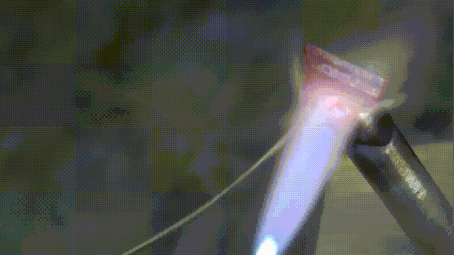 微信图片_20220817142503.gif